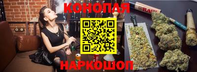 индика Нальчик