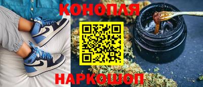 индика Нальчик